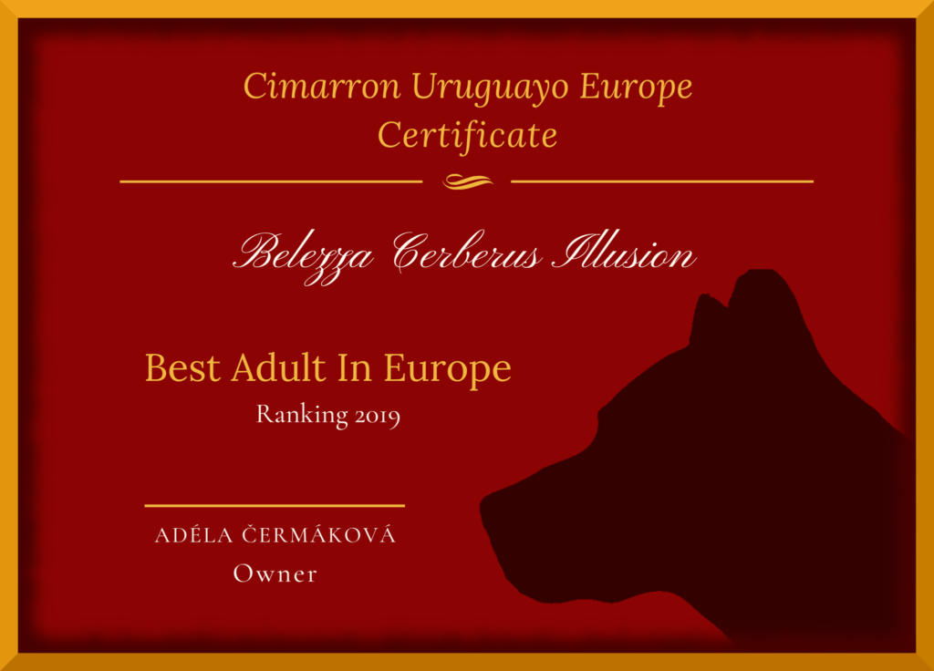 Best Cimarron Uruguayo in Europe 2019