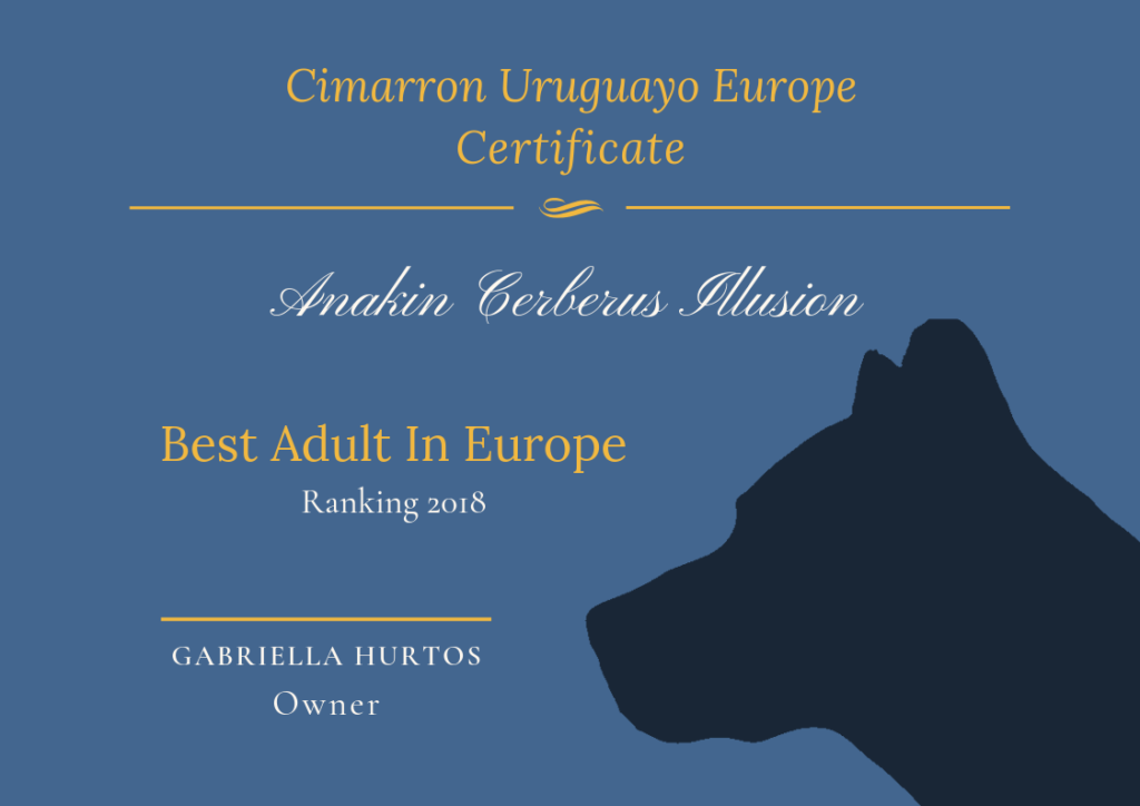 Best Cimarron Uruguayo in Europe 2018