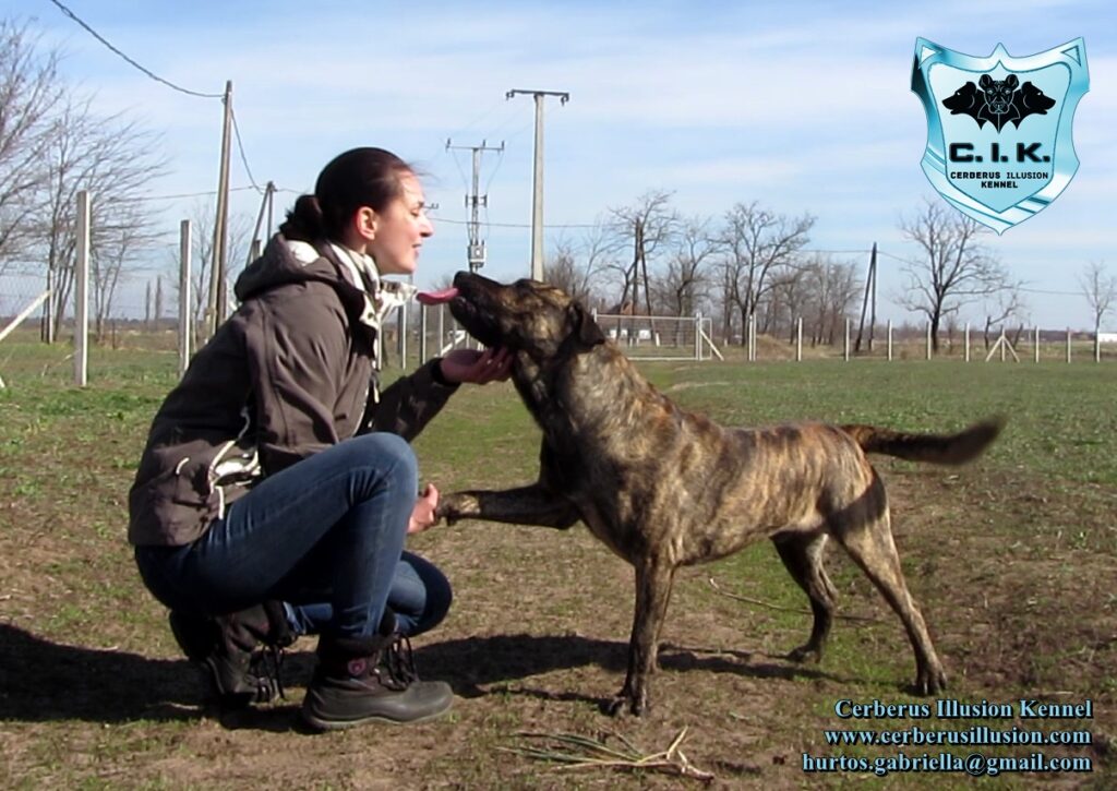 ANAKIN cerberus illusion cimarron uruguayo 17.3.2019a