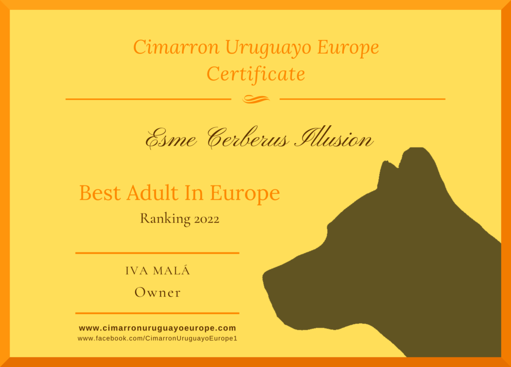 Best Cimarron Uruguayo in Europe 2022