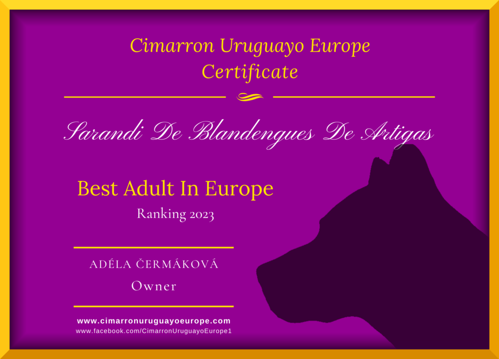 Best Cimarron Uruguayo in Europe 2023