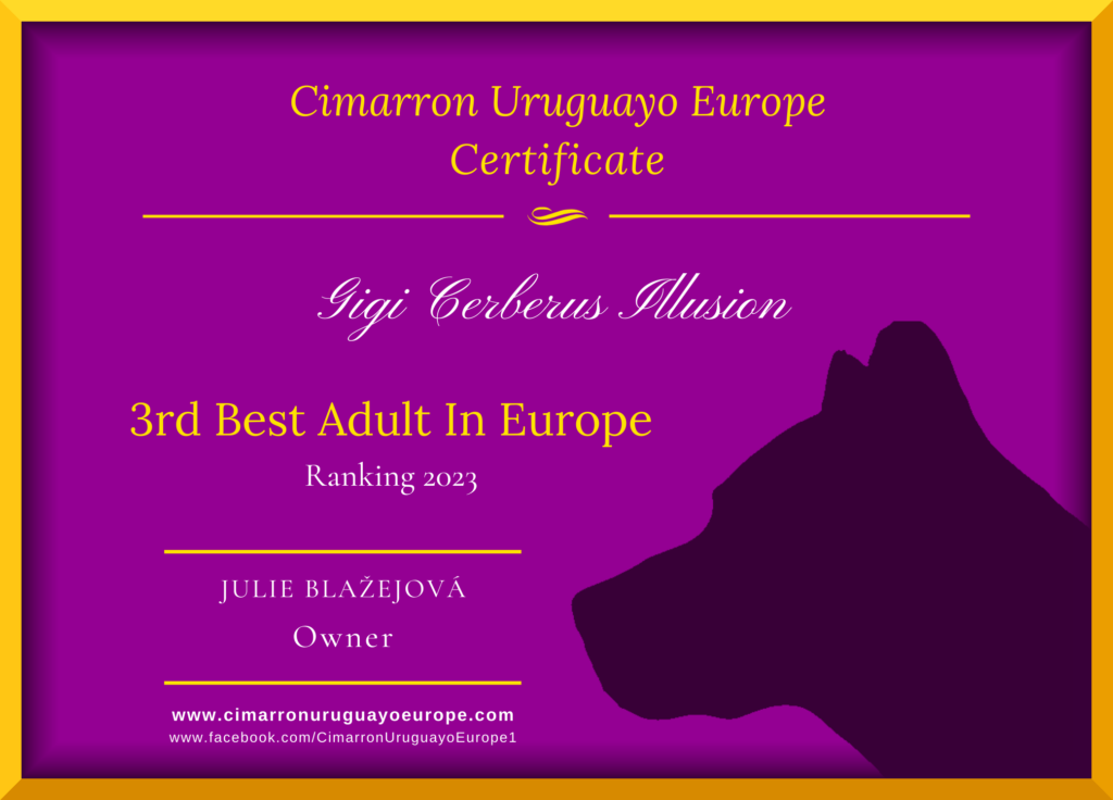 Best Cimarron Uruguayo in Europe 2023 3