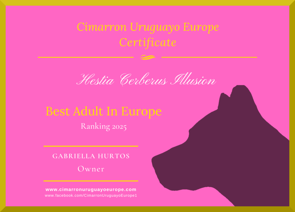 Best Cimarron Uruguayo in Europe 2025